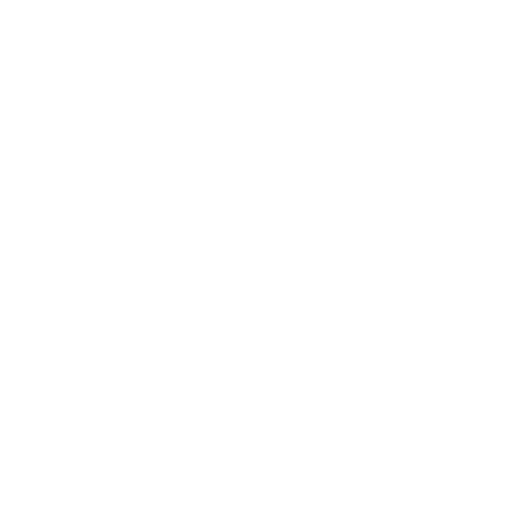 Logo batim france en blanc